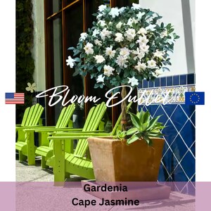 Puede incluir: Una planta de Gardenia Cape Jasmine blanca en una maceta marr&oacute;n con una planta de agave verde en el fondo. La planta est&aacute; delante de una pared de azulejos azules y blancos. El texto "Bloom Outlet" es visible en la imagen.