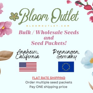 May include: A light blue background with pink and blue watercolor flowers. The text "Bloom Outlet" is in green and white. The text "BLOOMOUTLET.COM" is in black. The text "Bulk/Wholesale Seeds and Seed Packets!" is in black. The text "Anaheim, California" is in black. The text "Penningen, Germany" is in black. The American flag and the European Union flag are shown. The text "FLAT RATE SHIPPING" is in red. The text "Order multiple seed packets Pay ONE shipping price" is in black.