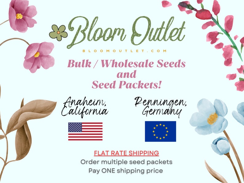 May include: A light blue background with pink and blue watercolor flowers. The text "Bloom Outlet" is in green and white. The text "BLOOMOUTLET.COM" is in black. The text "Bulk/Wholesale Seeds and Seed Packets!" is in black. The text "Anaheim, California" is in black. The text "Penningen, Germany" is in black. The American flag and the European Union flag are shown. The text "FLAT RATE SHIPPING" is in red. The text "Order multiple seed packets Pay ONE shipping price" is in black.