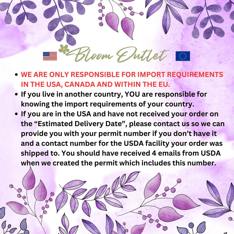 May include: A light purple background with floral and leaf illustrations. The text reads "Bloom Outlet" and provides import information for the USA, Canada, and the EU. The image includes the American and European Union flags.