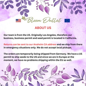 May include: A graphic with the text "Bloom Outlet" and "ABOUT US". The text is set against a watercolor background with purple floral accents. The US and EU flags are also present.