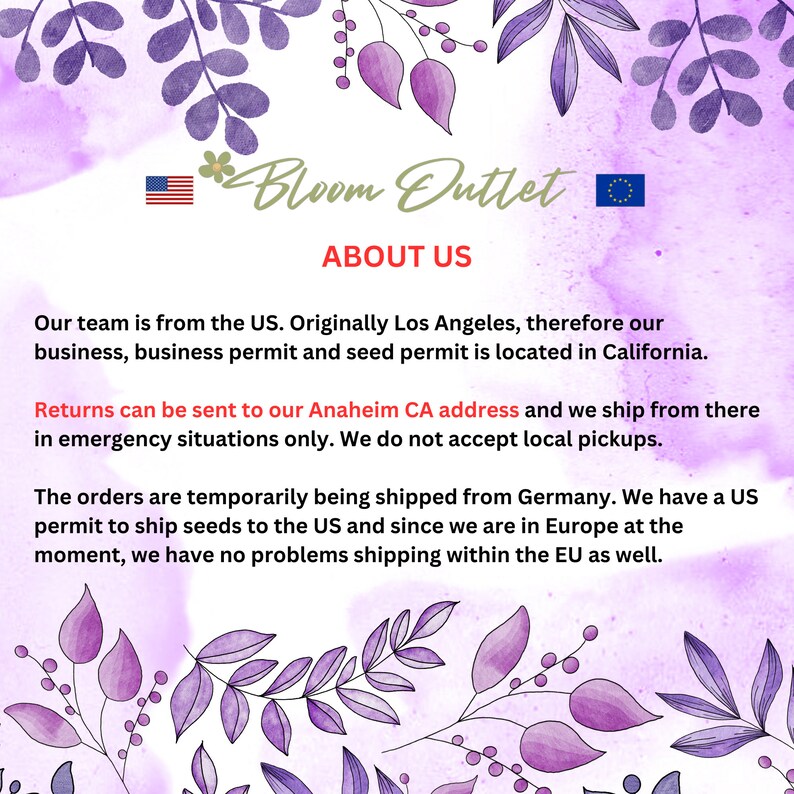 May include: A graphic with the text "Bloom Outlet" and "ABOUT US". The text is set against a watercolor background with purple floral accents. The US and EU flags are also present.