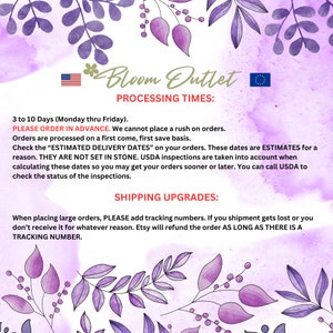 May include: A pink and purple floral background with text that reads "Bloom Outlet Processing Times: 3 to 10 Days (Monday thru Friday). PLEASE ORDER IN ADVANCE. We cannot place a rush on orders. Orders are processed on a first come, first save basis. Check the "ESTIMATED DELIVERY DATES" on your orders. These dates are ESTIMATES for a reason. THEY ARE NOT SET IN STONE. USDA inspections are taken into account when calculating these dates so you may get your orders sooner or later. You can call USDA to check the status of the inspections. SHIPPING UPGRADES: When placing large orders, PLEASE add tracking numbers. If you shipment gets lost or you don't receive it for whatever reason. Etsy will refund the order AS LONG AS THERE IS A TRACKING NUMBER."