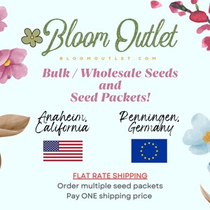 May include: A light blue background with pink and blue watercolor flowers. The text "Bloom Outlet" is in green and white. The text "Bulk/Wholesale Seeds and Seed Packets!" is in black. The text "Anaheim, California" is in black with a US flag. The text "Penningen, Germany" is in black with a European Union flag. The text "FLAT RATE SHIPPING" is in red. The text "Order multiple seed packets Pay ONE shipping price" is in black.