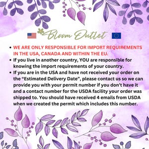 May include: A pink and purple floral background with text that reads "Bloom Outlet". The text also states that the seller is only responsible for import requirements in the USA, Canada, and within the EU. The text also states that if you live in another country, you are responsible for knowing the import requirements of your country. The text also states that if you are in the USA and have not received your order on the "Estimated Delivery Date", please contact us so we can provide you with your permit number if you don't have it and a contact number for the USDA facility your order was shipped to. You should have received 4 emails from USDA when we created the permit which includes this number.
