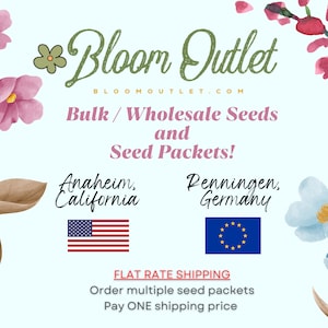K&ouml;nnte beinhalten: Ein hellblauer Hintergrund mit rosa und blauen Aquarellblumen. Der Text "Bloom Outlet" ist in Gr&uuml;n und Wei&szlig;. Der Text "Bloomoutlet.com" ist in Schwarz. Der Text "Bulk/Wholesale Seeds and Seed Packets!" ist in Schwarz. Der Text "Anaheim, California" ist in Schwarz. Der Text "Penningen, Germany" ist in Schwarz. Die amerikanische Flagge und die Flagge der Europ&auml;ischen Union sind abgebildet. Der Text "FLAT RATE SHIPPING" ist in Rot. Der Text "Order multiple seed packets Pay ONE shipping price" ist in Schwarz.