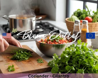 SEMILLAS DE CILANTRO – Huerto de hierbas – Coriandrum sativum