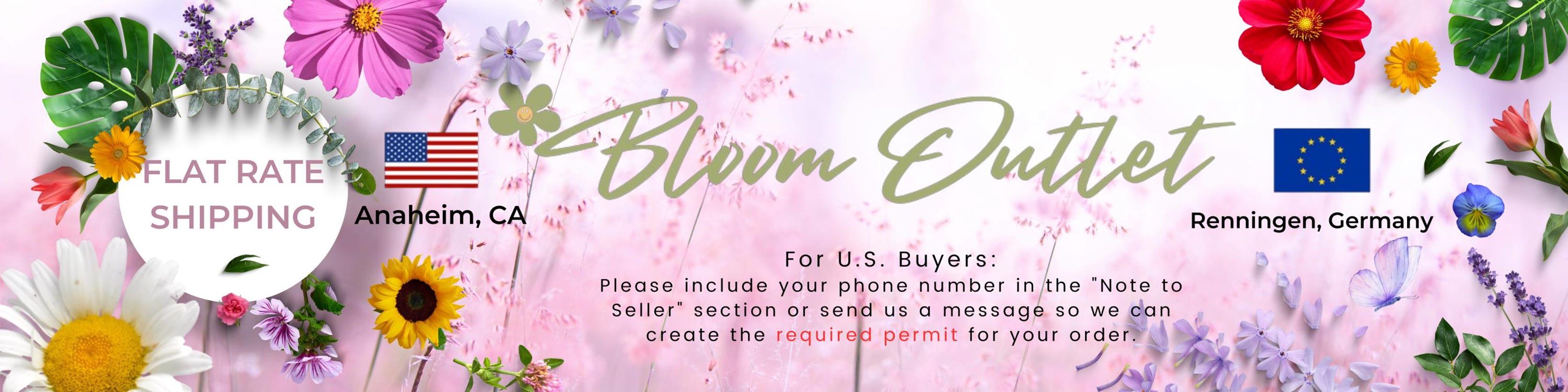 BloomOutlet - Etsy