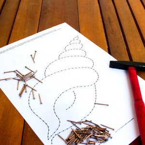 May include: A white paper with a black outline of a seashell, a pile of small nails, and a red hammer on a wooden surface.