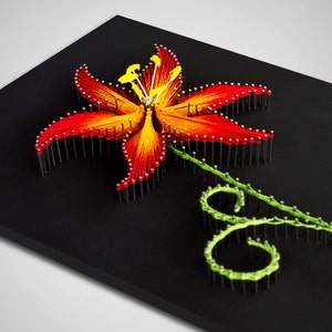 String Art Pattern & Instructions "the Lily" | DIY String Art Patterns ...