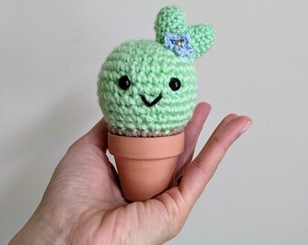 VALENTINE LOVE CACTUS crochet en mini pot, succulent Saguaro, Cactus fleur, Succulentes Cat-tus, cadeau amigurumi