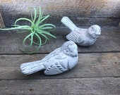 Two birds set in cream linen finish. These cast iron birds are perfect little additions to bedrooms, bathrooms, and living rooms.