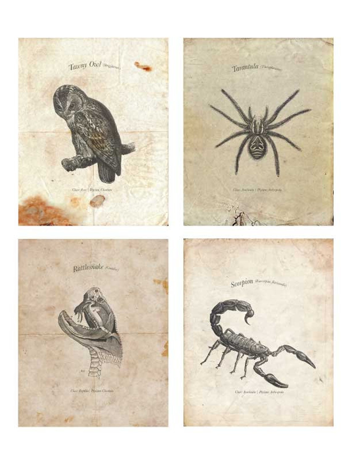 Vintage Halloween Printable - Etsy