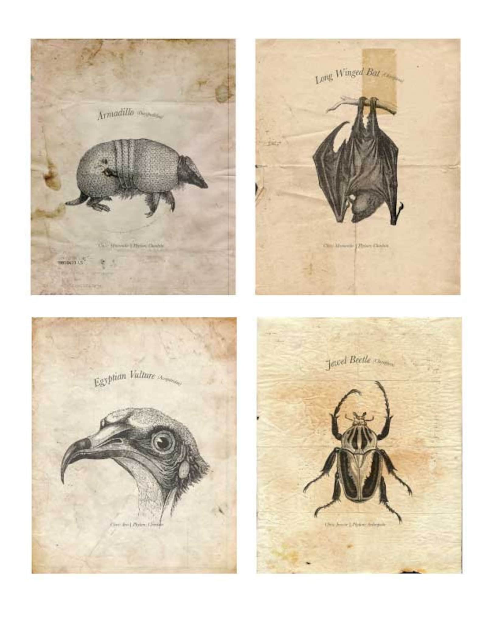 Vintage Halloween Printable - Etsy