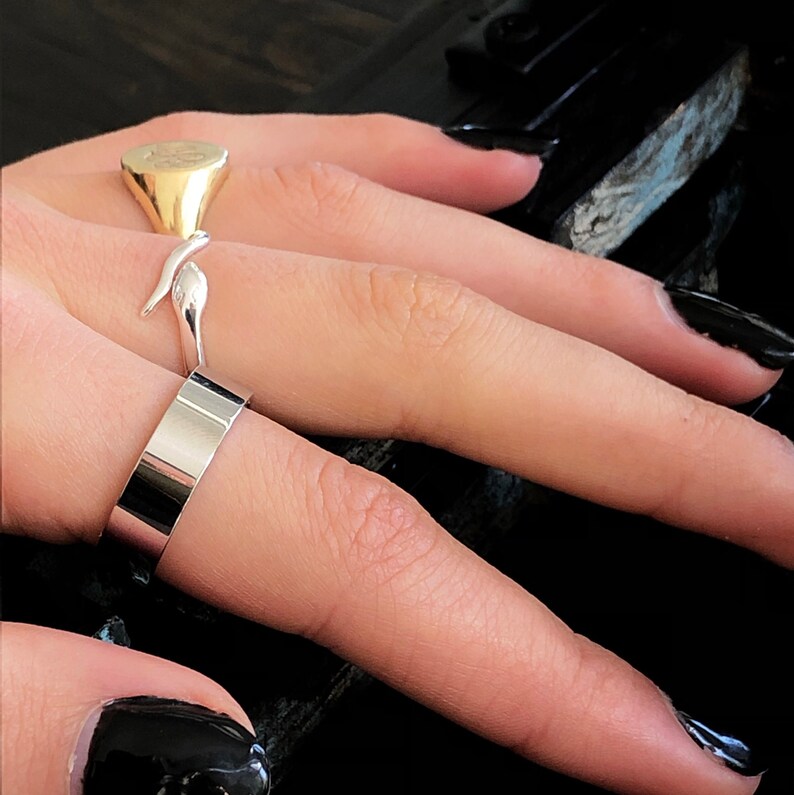 May include: Two silver rings on a hand. One ring is a simple band, the other is a snake design.