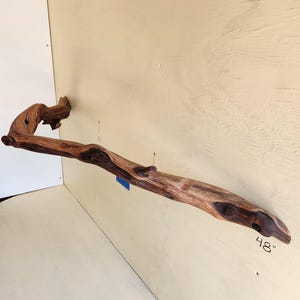 May include: A natural wood branch, approximately 48 inches long, with a curved shape and varying shades of brown. The branch has knots and a textured surface, showcasing the natural grain of the wood. A blue tag is attached.