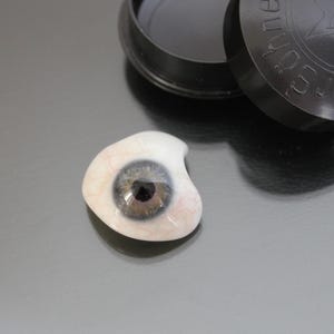 Vintage Prosthetic Glass Human Eye. Gray Green. Lauscha Glass. AA
