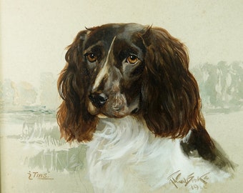 Reuben Ward Binks Dog Portrait Springer Spaniel Signed Dated 1922