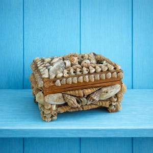 May include: A decorative wooden box covered in various seashells. The box has a rectangular shape with a hinged lid and is resting on a blue surface. The box is approximately 6 inches long, 4 inches wide, and 3 inches tall.
