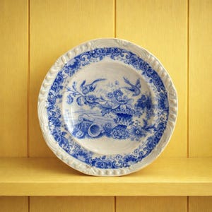 19th Century Childs Plate Blue And White Transferware Shells, Birds and Cornucopia C 1830
