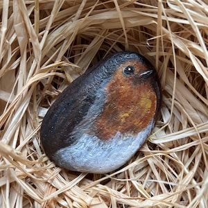 May include: A smooth, oval-shaped river stone hand-painted with a detailed depiction of a robin. The bird features a dark brown head and back, a vibrant orange-red breast, and a white belly, with a small black eye and a pointed beak.