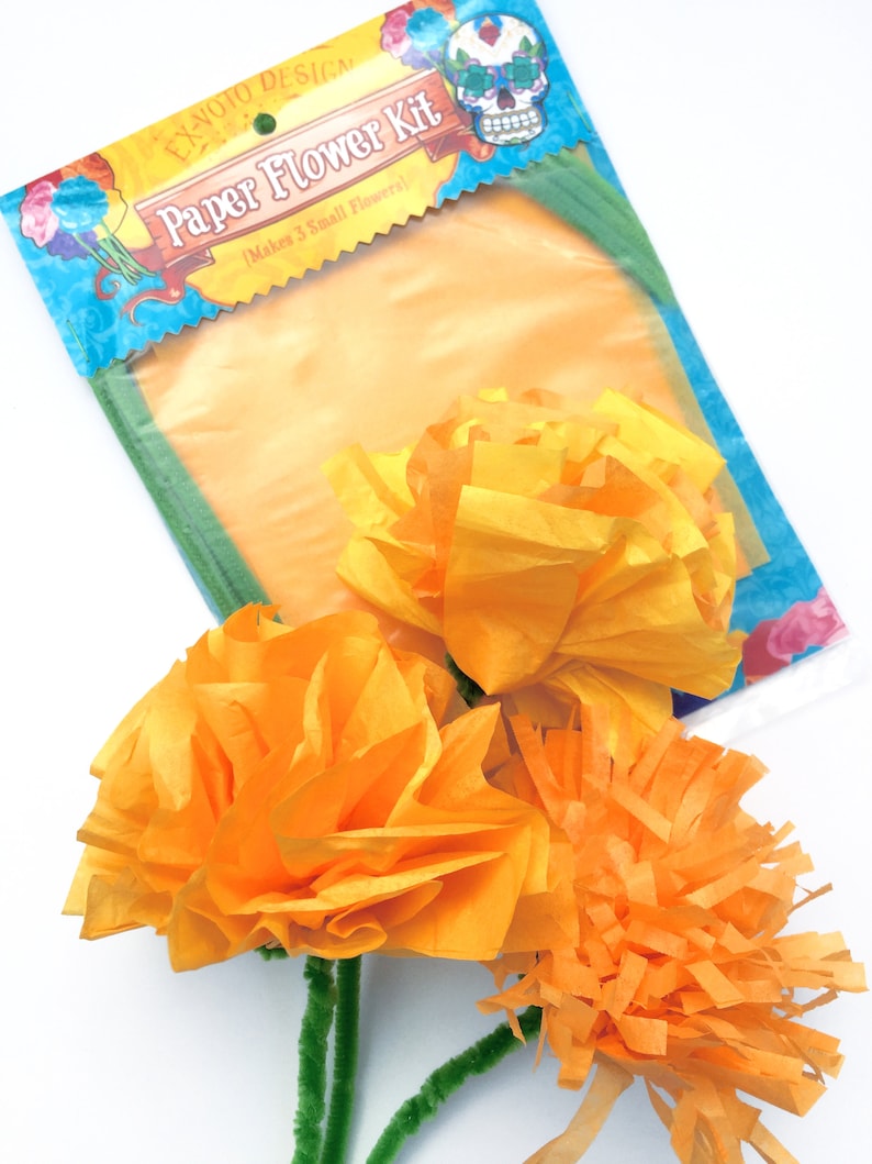 K&ouml;nnte beinhalten: Ein Bastelset zum Herstellen von Papierblumen. Das Set enth&auml;lt drei Bl&auml;tter orangefarbenes Seidenpapier und drei gr&uuml;ne Pfeifenreiniger. Die Verpackung zeigt einen Totenkopf mit einem Blumenmuster und den Text "Paper Flower Kit (Makes 3 Small Flowers!)"