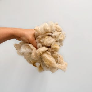 Delvis tvättad rå litauisk fårull, naturlig grov ull med lanolin för tovning, spinning och hantverk