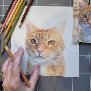 Hand-Drawn Custom Pet Portrait, Original artwork drawn from your photo, personalised pet loss gift, dog or cat illustration