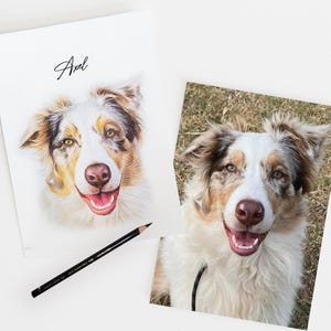 Hand-Drawn Custom Pet Portrait, Original artwork drawn from your photo, personalised pet loss gift, dog or cat illustration