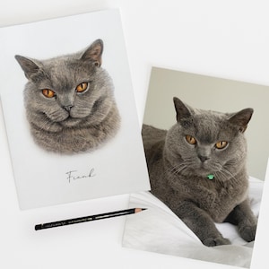 Custom mini Pet Portrait hand drawn with pencil on paper, Personalised dog or cat illustration, Wall Art for pet loss or pet memorial gift