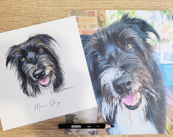 Mini pet portrait, illustrated with coloured pencil and ink, great pet gift idea or pet memorial