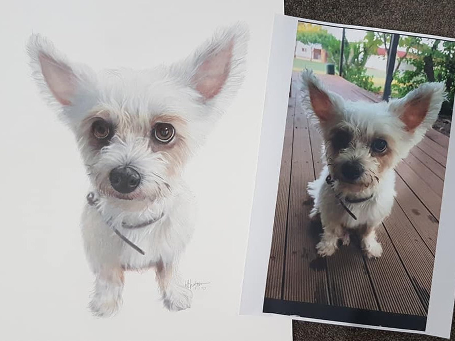 11+ Beautiful Custom Pet Portraits From Australian Artists