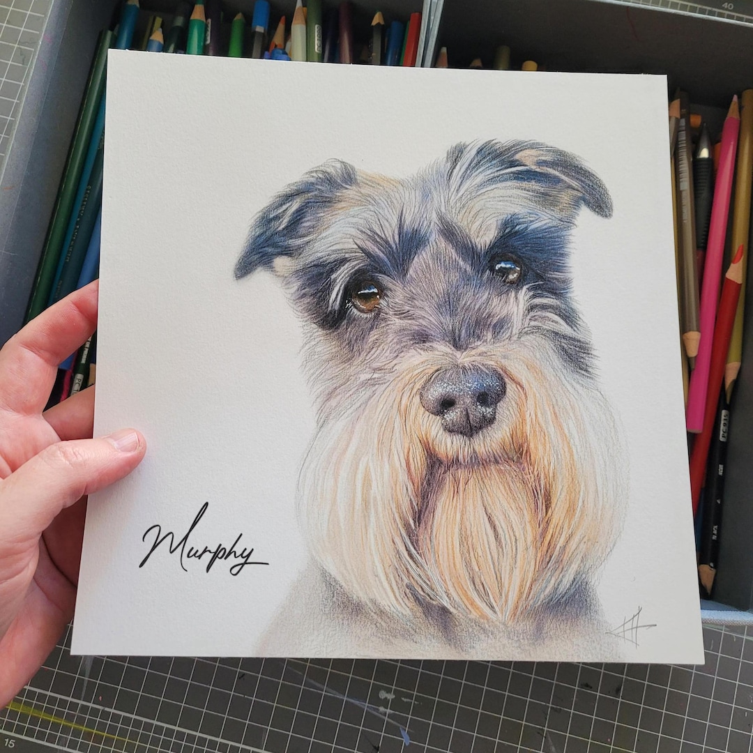 Custom Pet Portrait Drawing | Hand Drawn Pencil Dog Cat Art (20x20cm ...