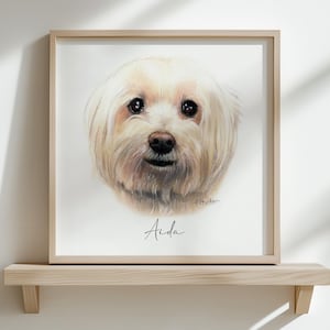 Hand-Drawn Custom Pet Portrait, Original artwork drawn from your photo, personalised pet loss gift, dog or cat illustration