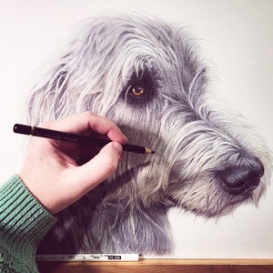 Custom Pet Portraits, drawing from Photo with Pencil on Paper, Personalised Dog Portraits, Pet Wall Art, Pet Loss or Remembrance Gift