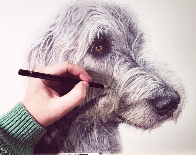 Custom hand drawn pet portrait of your dog, cat or bird, illustration with pencil, great pet gift idea or pet memorial