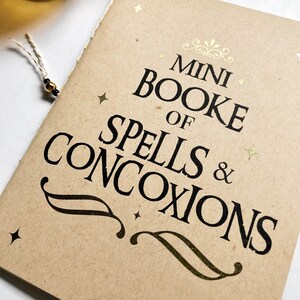 May include: A small brown book with gold lettering that reads "Mini Booke of Spells & Concoctions". The book has a white string tied around it with a black bead.