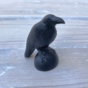 Black Obsidian Crow on a Stone.