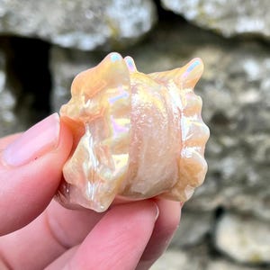K&ouml;nnte beinhalten: Eine perlmuttartige, irisierende Muschelbildhauerei in Pfirsich- und Cremet&ouml;nen. Die Muschel hat eine strukturierte Oberfl&auml;che und wird in einer Hand gehalten. Die Skulptur hat eine einzigartige, organische Form mit Rippen und Kurven.