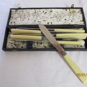 A Lovely Set of Six Vintage Bakelite and Steel Dinner Knives in Original Box, Made in France