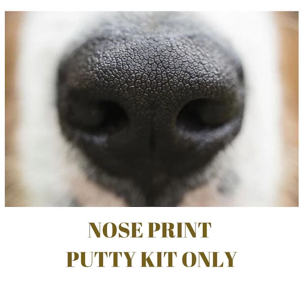 Small/Medium Dog/cat Nose replica print putty, Nose Print, Pet Keepsake, print kit, Dog Lover, cat lover, gift