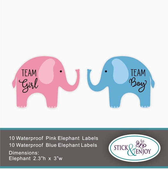 20 Geschlecht Offenbaren Party Aufkleber Rosa Elefant Team Etsy