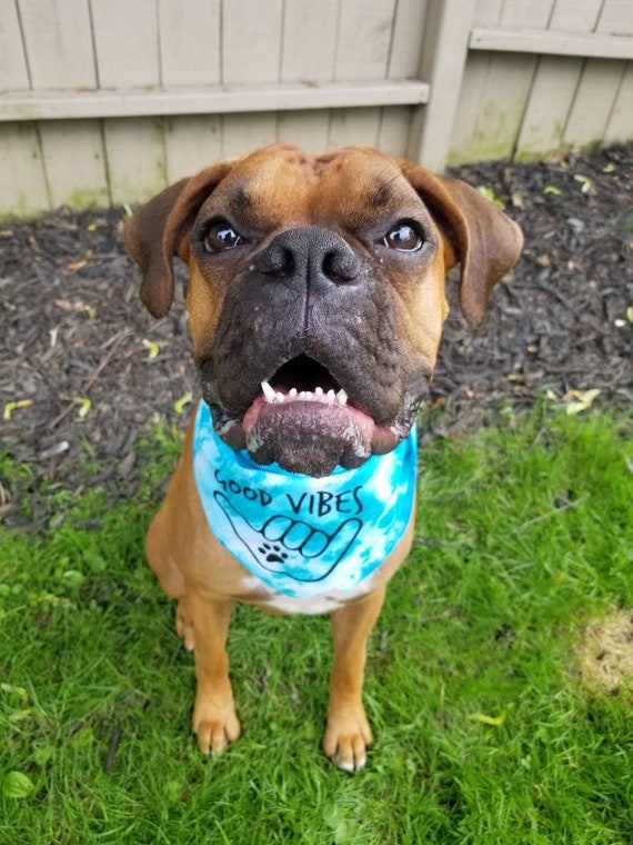 Reversible Bandana Good Vibes Tie Dye Dog Bandana Dog Bandana