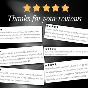 May include: Image displaying customer reviews, each topped with five gold stars. The words "Thanks for your reviews" are written in a decorative font. The reviews highlight product quality, shipping speed, and the seller's helpfulness.