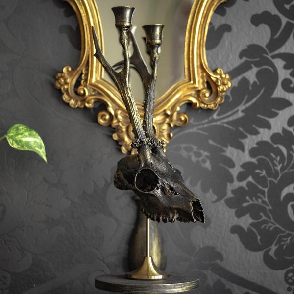 Gothic candle holder made from a real animal skull, black and gold, for gothic gift or alternative home decor lights, unique gift