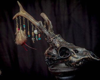 Voodoo/tribal roedeer skull with natural antlers and feathers, beads, trinkets, for alternative gothic home decor