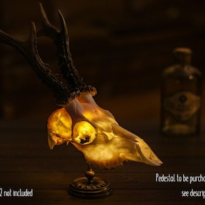 Unikalna lampa stołowa z czaszką sarny, dekoracja domu w stylu gotyckim, lampa w kształcie czaszki do kącika do czytania, gotycki kącik