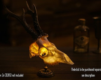 Lampe de table tête de mort unique en son genre, décoration gothique, lampe tête de mort pour coin lecture, coin gothique
