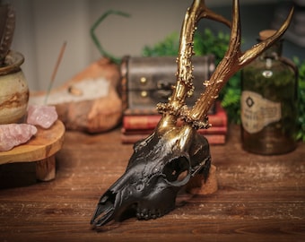 Pure gothic black and gold roe deer skull with big antlers, real animal skull painted for gothic home decor, gothic skull, maximalist dark