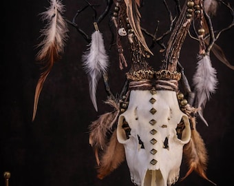 Crâne tribal de chevreuil européen avec bois, plumes, perles et os naturels pour une décoration intérieure gothique alternative, vaudou, art primitif